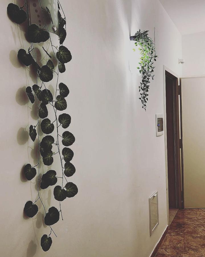Esperanto B&B บารี ภายนอก รูปภาพ