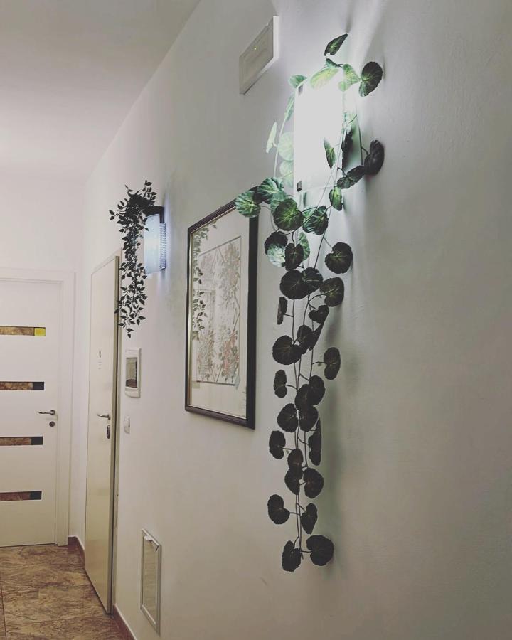 Esperanto B&B บารี ภายนอก รูปภาพ
